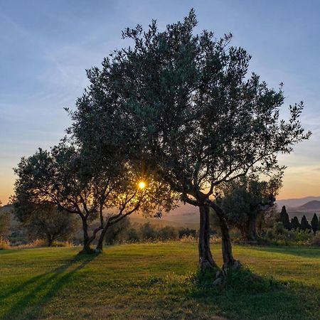 La Marrana - Castello Del Terriccio Villa Castellina Marittima Kültér fotó