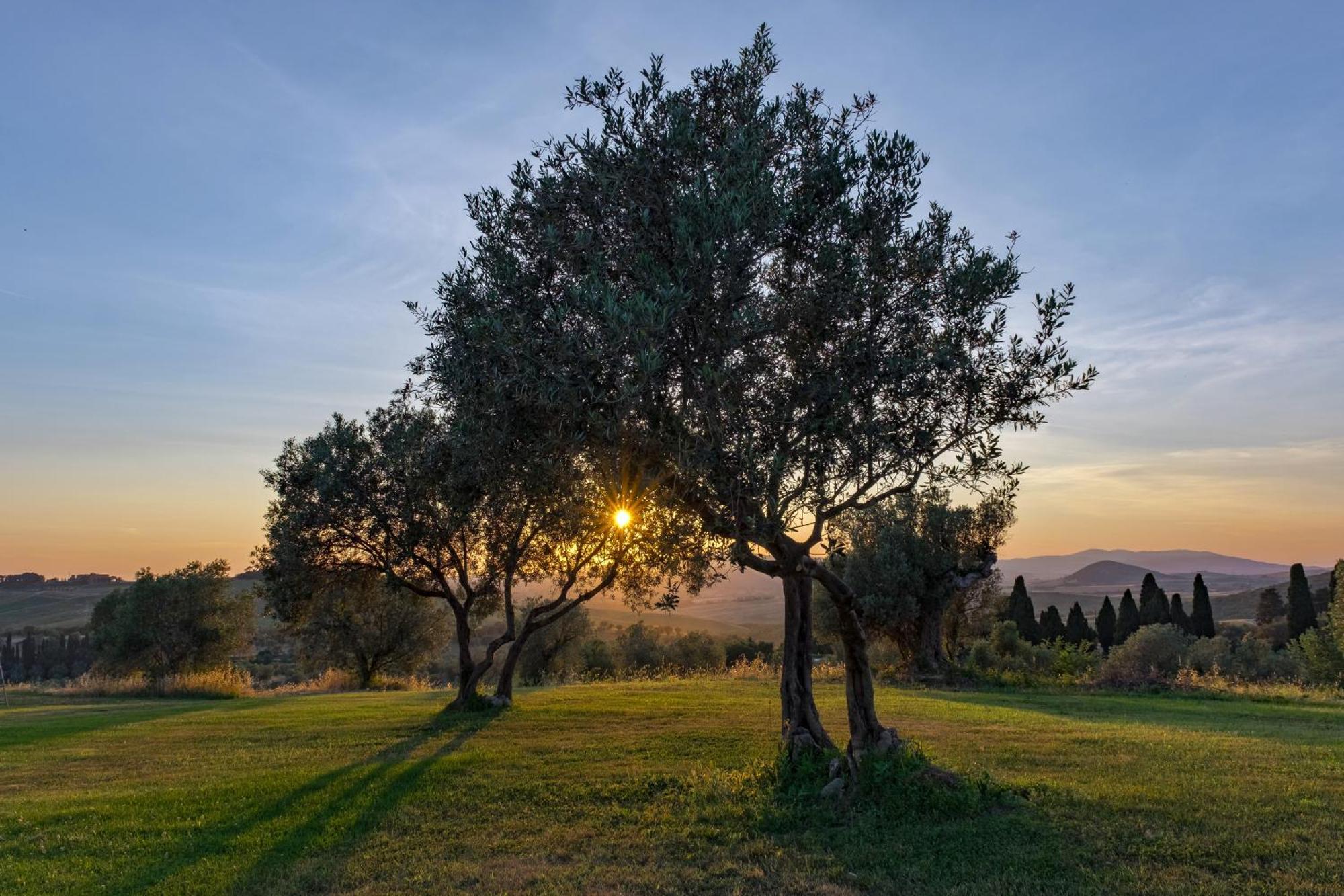 La Marrana - Castello Del Terriccio Villa Castellina Marittima Kültér fotó